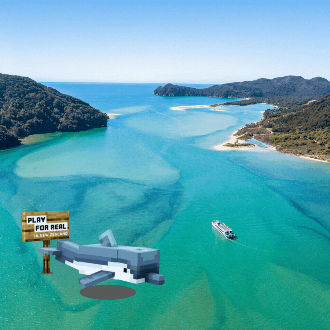 Boat   Minecraft NZ