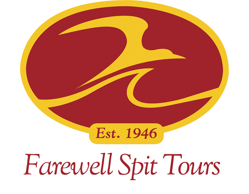 Farewell Spit Tours