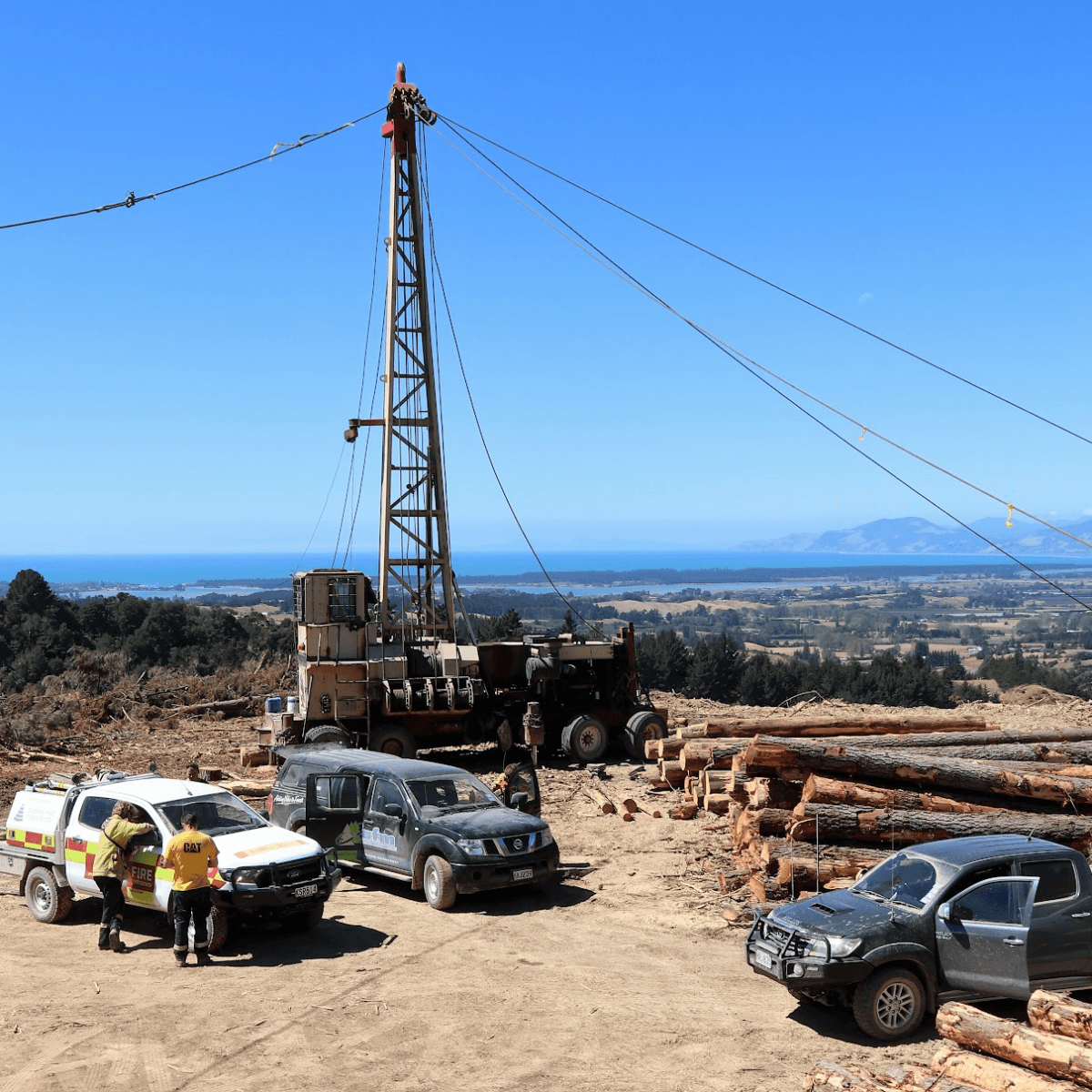 Action Forest Management Ltd 