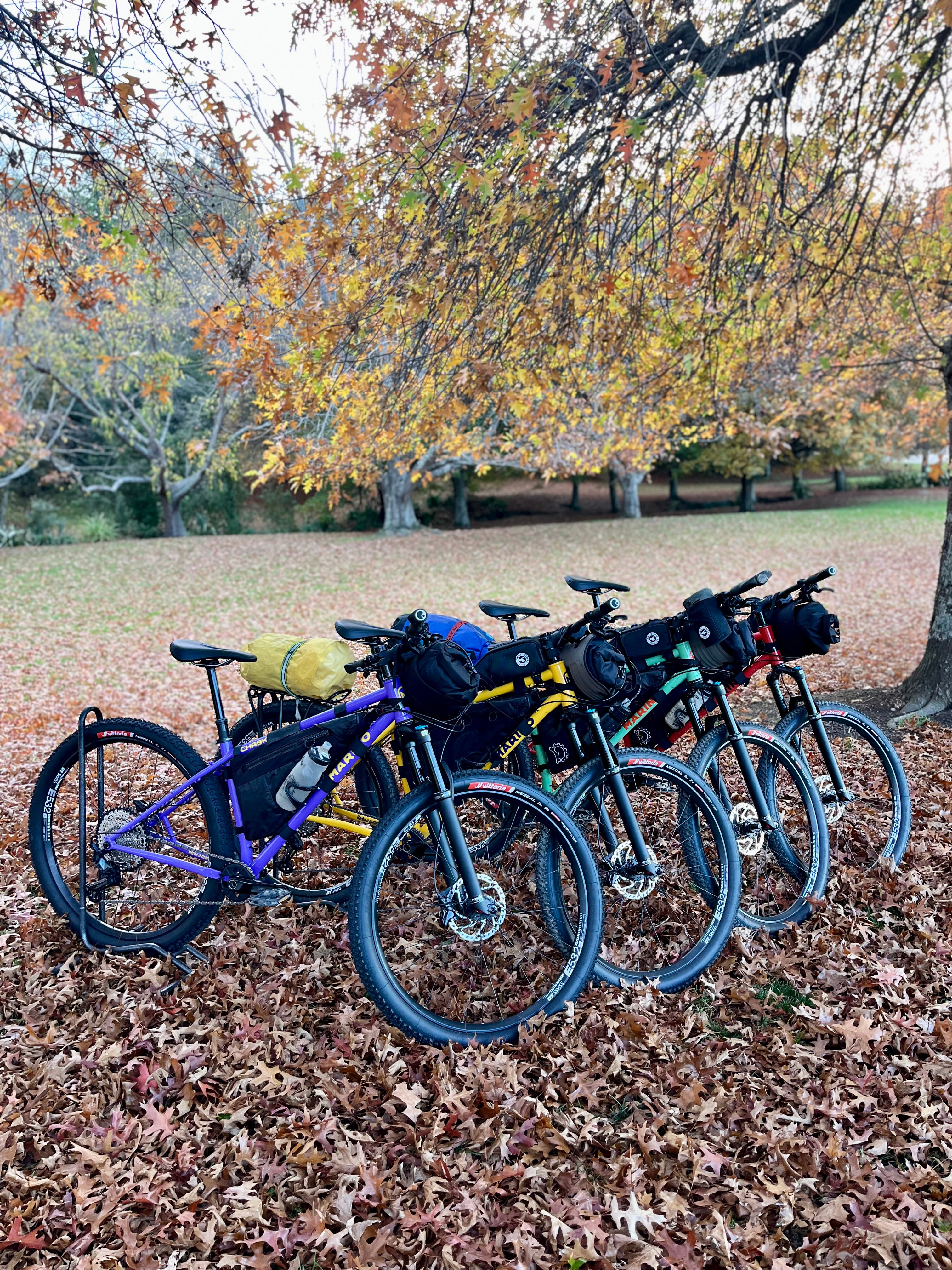 Our fleet 