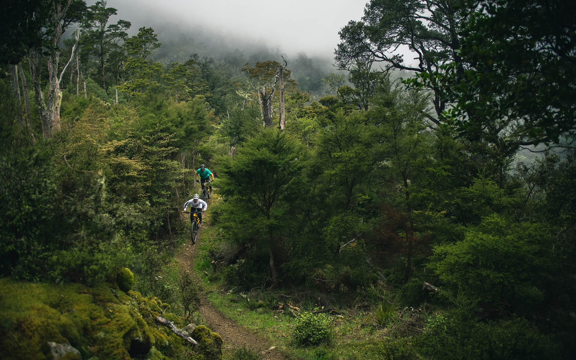 Just below the clouds Katy and Joe emerge out of the forest on a beautiful piece of single track at Cable Bay Adventure Park.