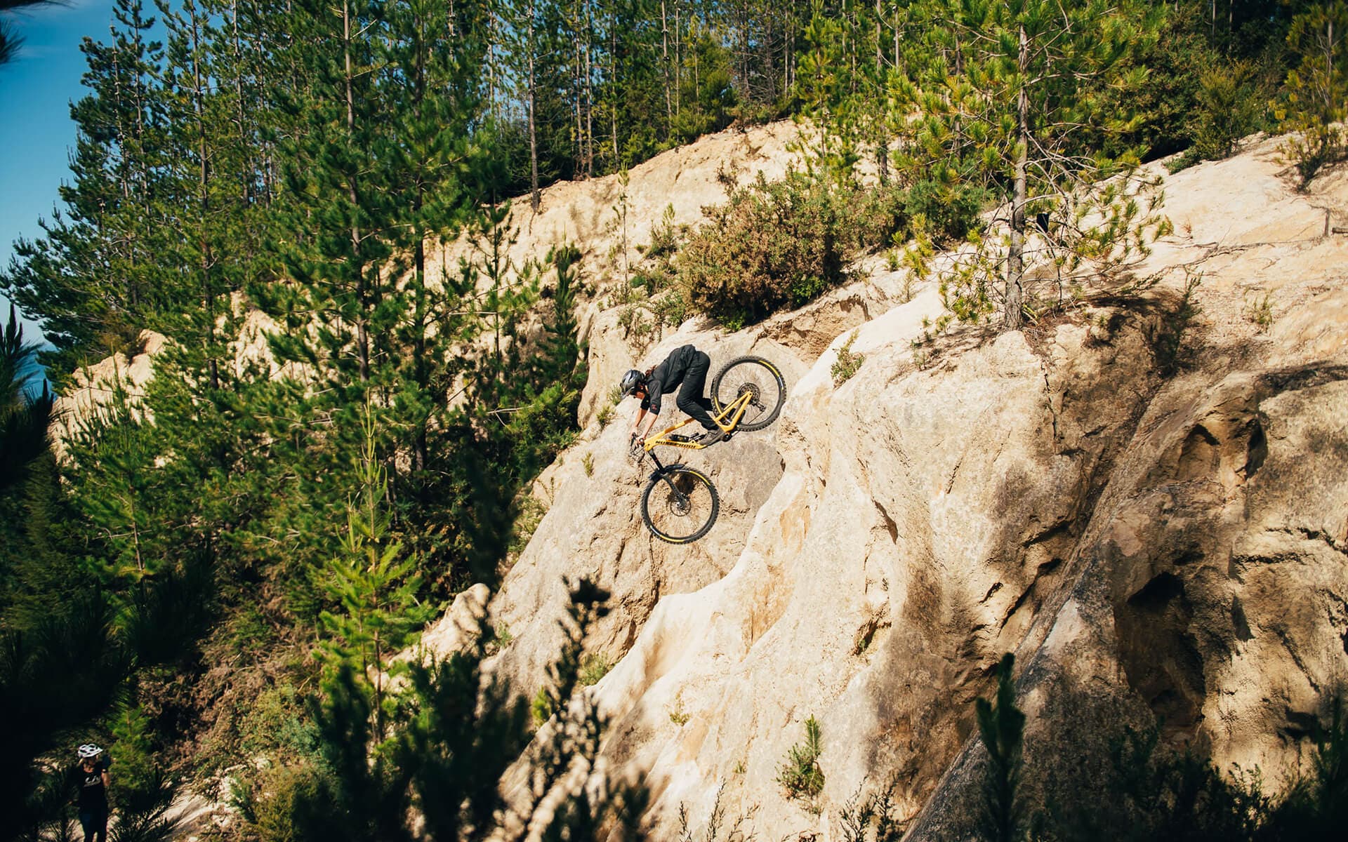 Freeride zone antics at Kaiteriteri MTB Park.