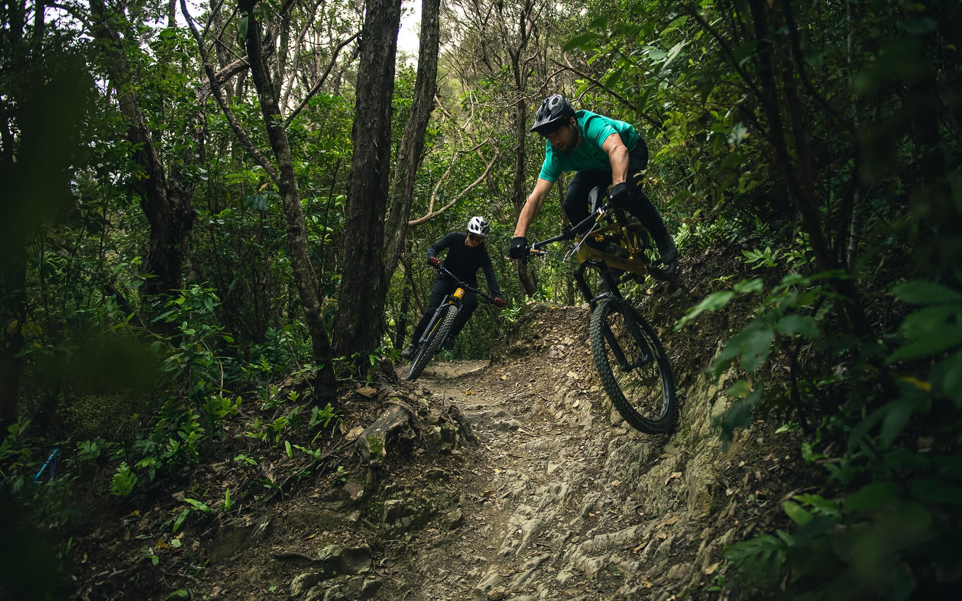 Typical Nelson riding, in the bush, fast, stony and steep.
