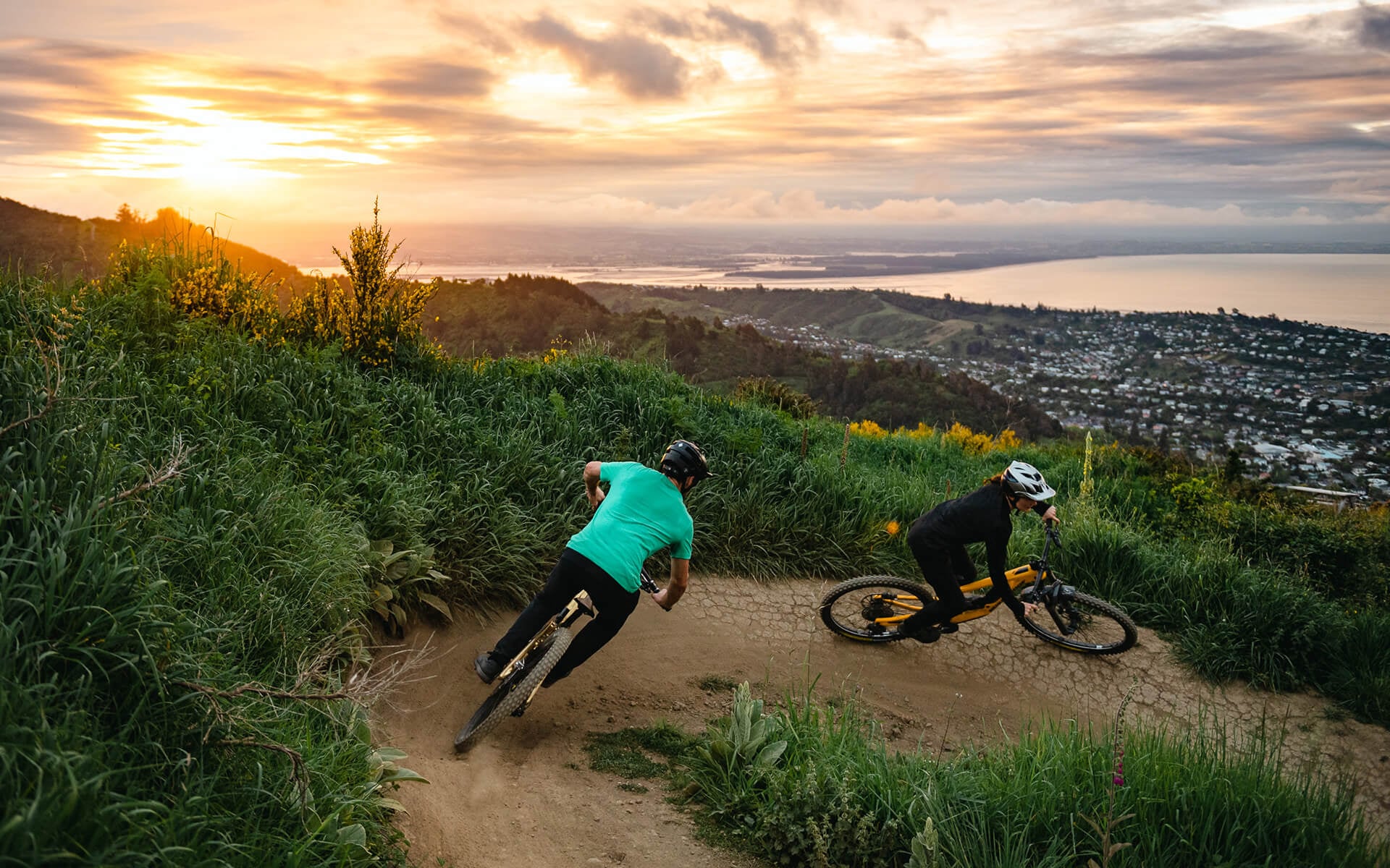 Epic views back over Nelson and towards the Abel Tasman as you descend.