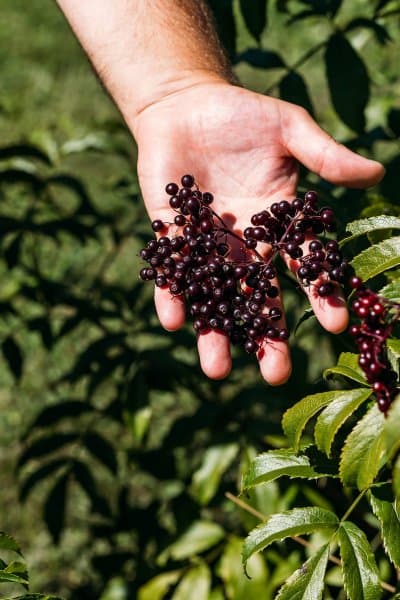 Kiwi Spirit Distillery Print Res credit Neat Places 15