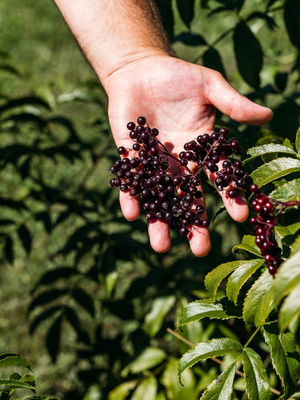 Kiwi Spirit Distillery Print Res credit Neat Places 15