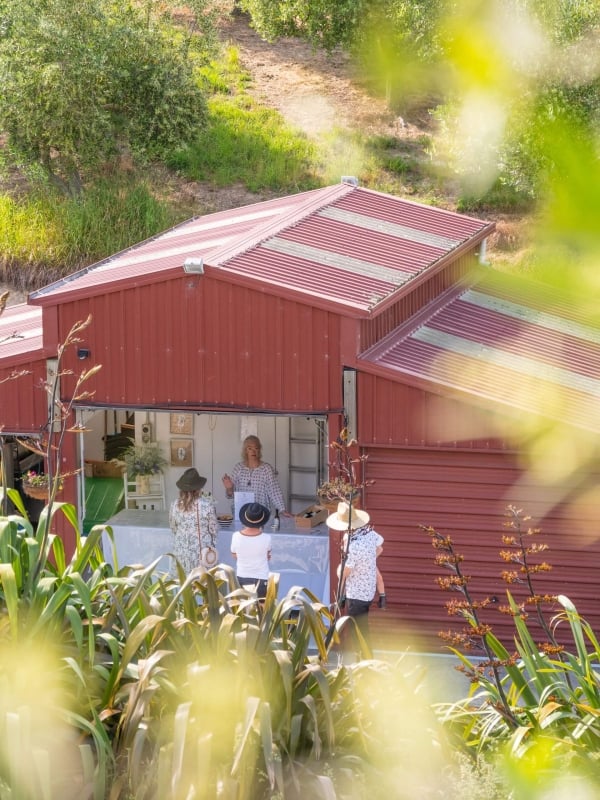 Explore the rich flavours of Neudorf Olives at the Moutere Artisans Open Day.