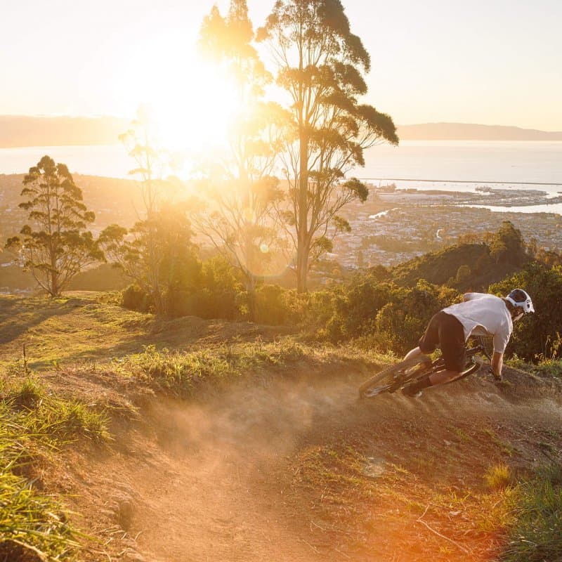 Koata Park sunet mountain biking by Rory Stock R5RS8895