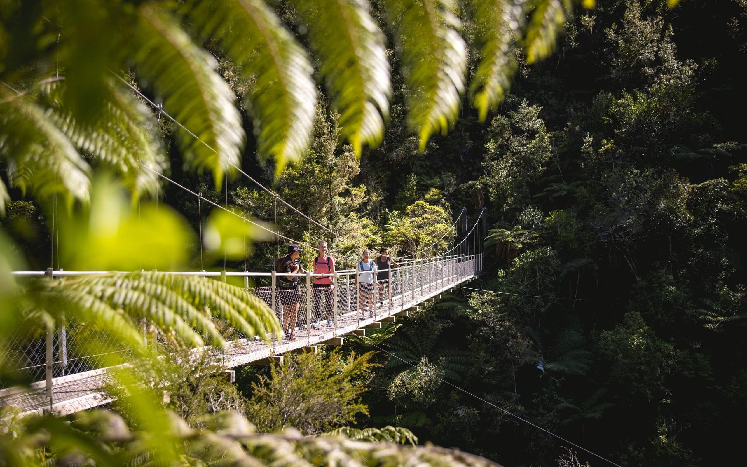 Falls River Swing Bridge offers elevated views over the pristine channel below.