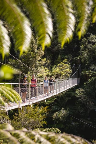 Falls River Swing Bridge offers elevated views over the pristine channel below.