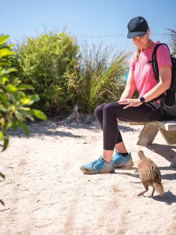 Meet the cheeky locals—weka strut the Abel Tasman Coast Track like they own the place, always ready to swipe an unattended snack.