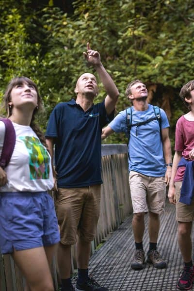 Join a guided walk at the Brook Waimārama Sanctuary and discover native wildlife thriving in a lush, predator-free forest.