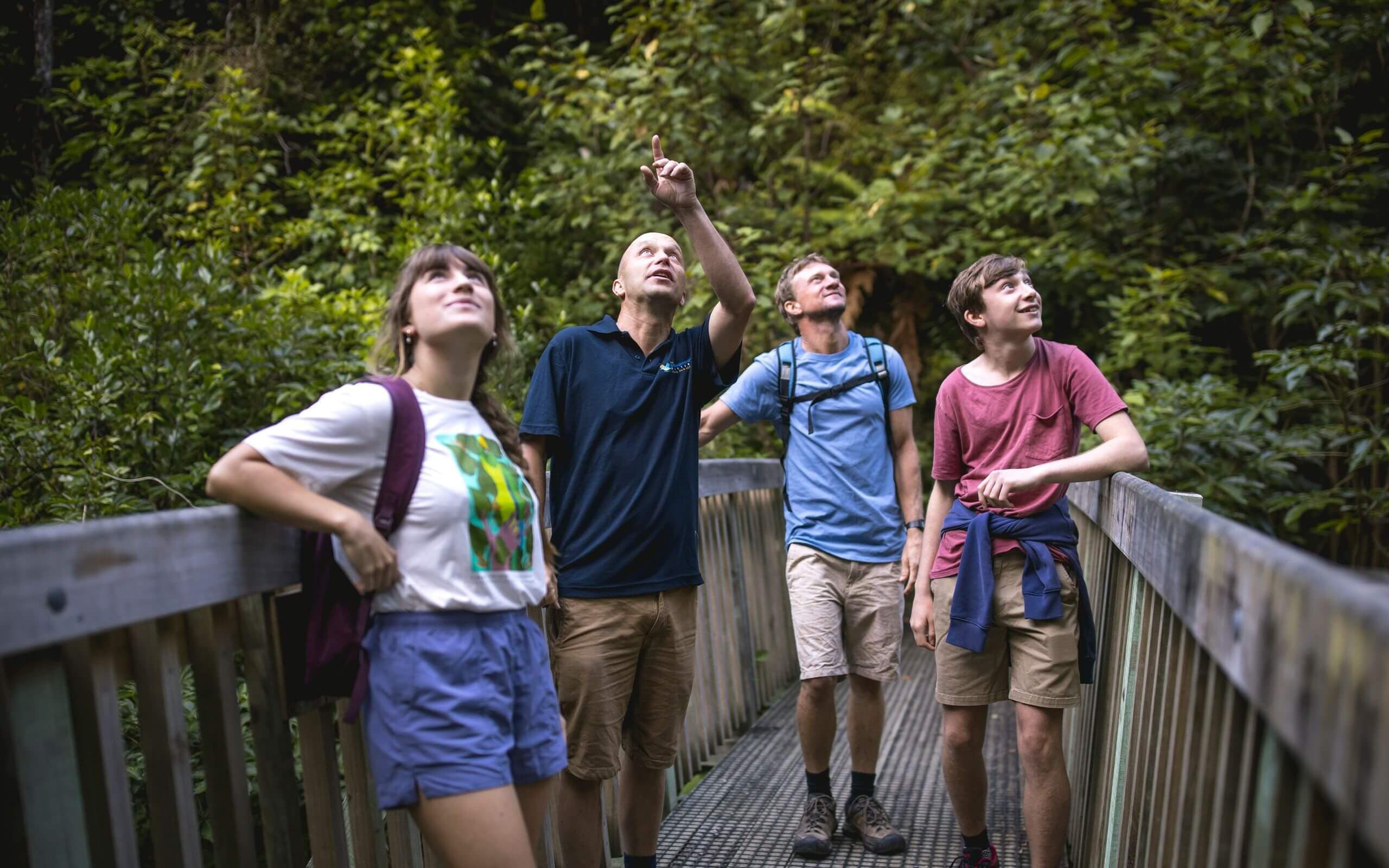 Join a guided walk at the Brook Waimārama Sanctuary and discover native wildlife thriving in a lush, predator-free forest.