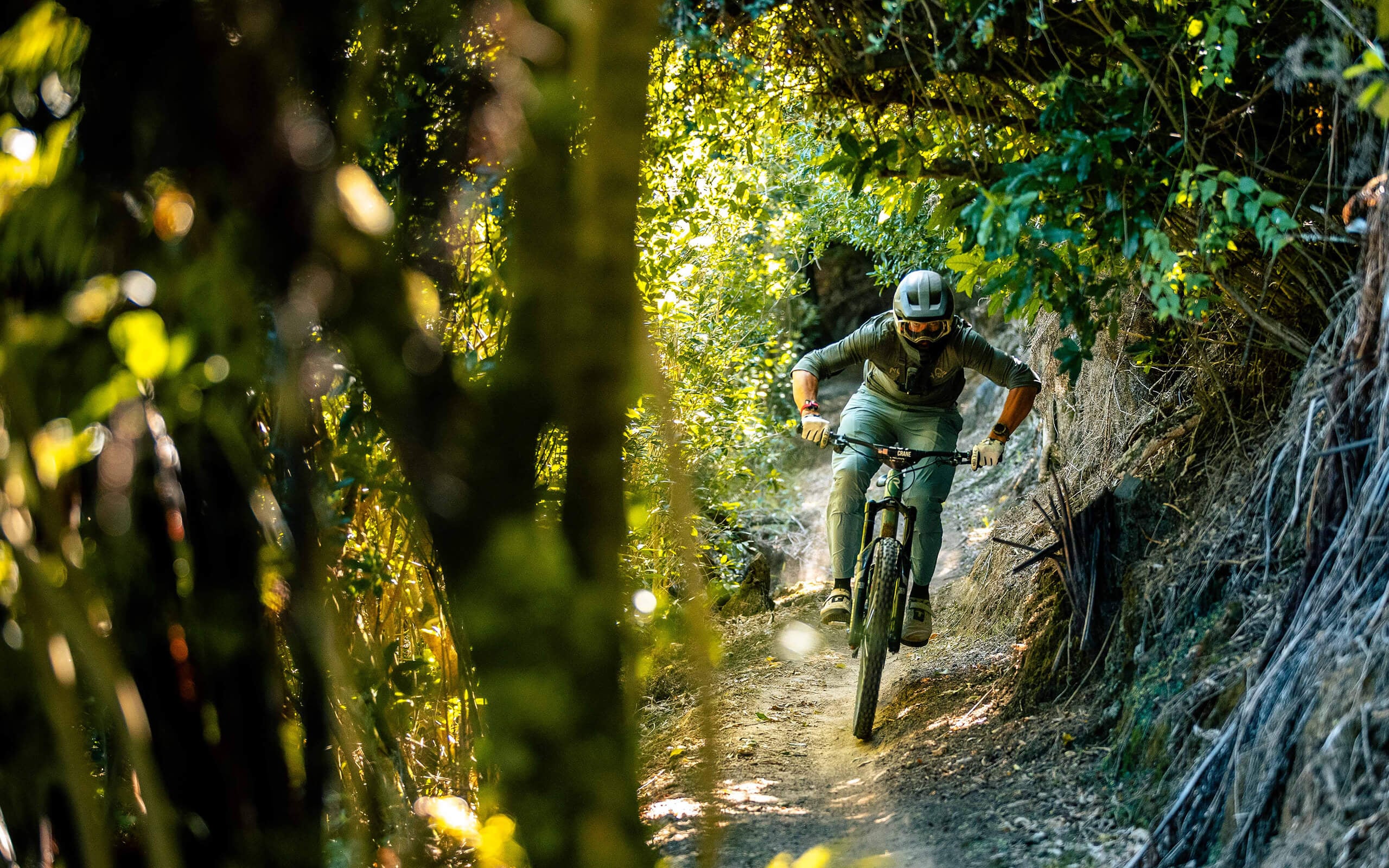 Endless flow at Kaiteriteri MTB Park.