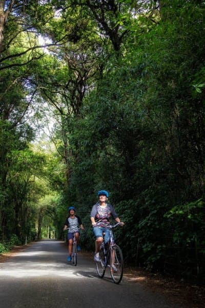Cycle through Motueka, the gateway to Abel Tasman.