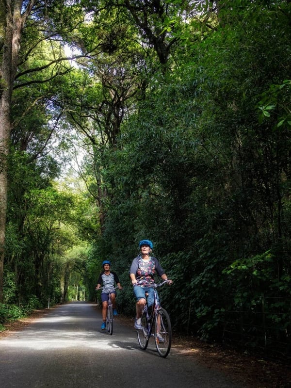 Cycle through Motueka, the gateway to Abel Tasman.