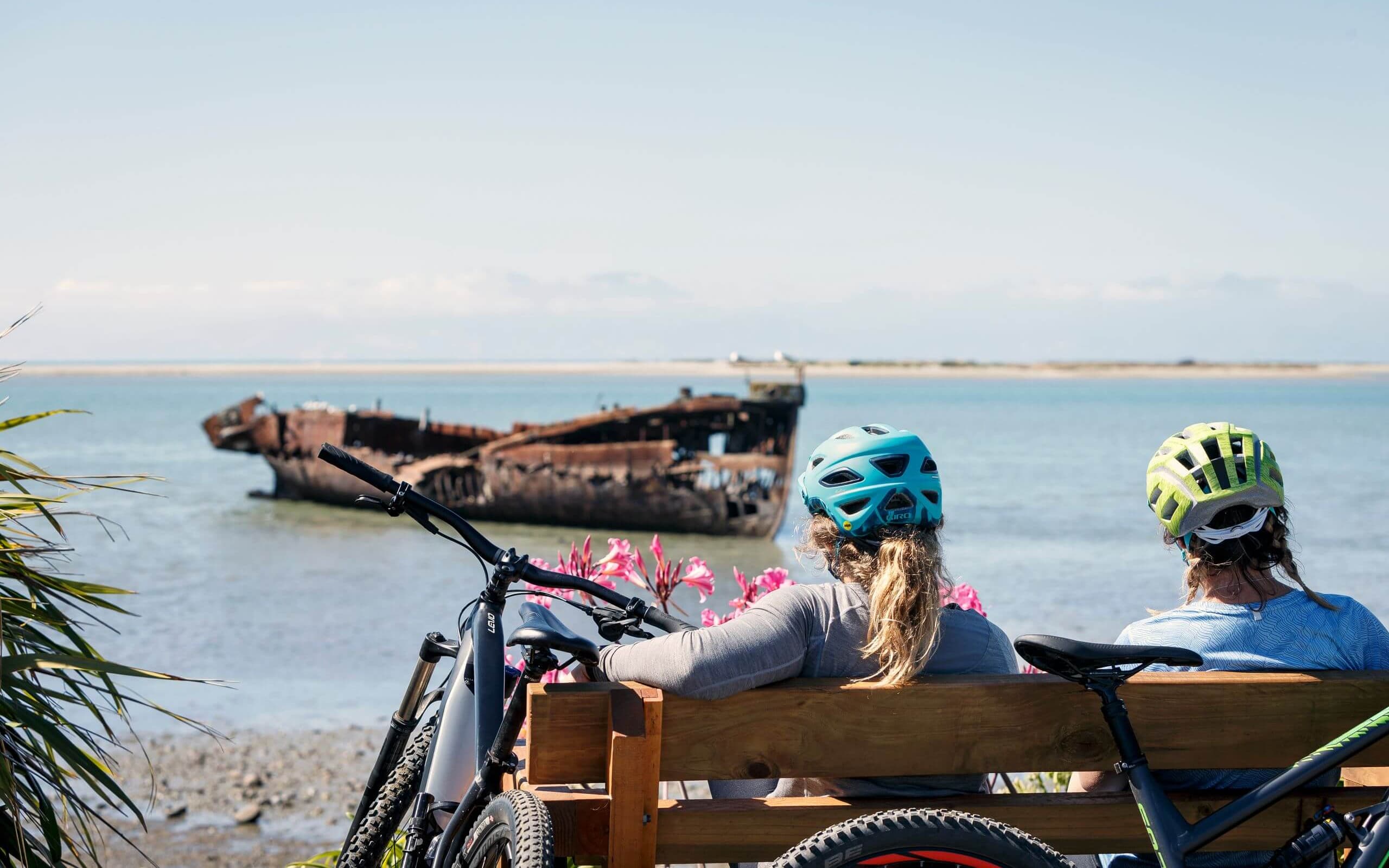 Janie Seddon Shipwreck Great Taste Trail by Virginia Woolf