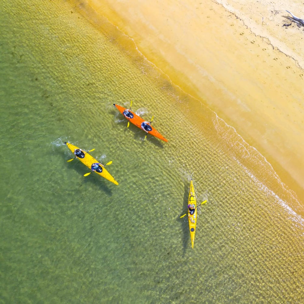 Kayakers at Onetahuti Abel Tasman by Kaiteriteri Kayaks