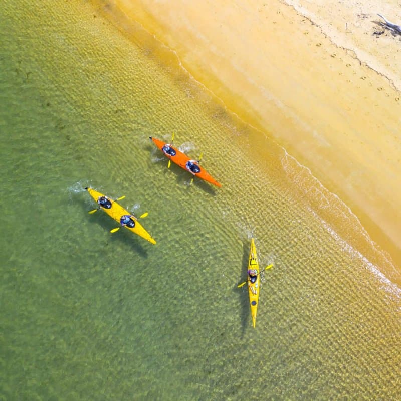 Kayakers at Onetahuti Abel Tasman by Kaiteriteri Kayaks