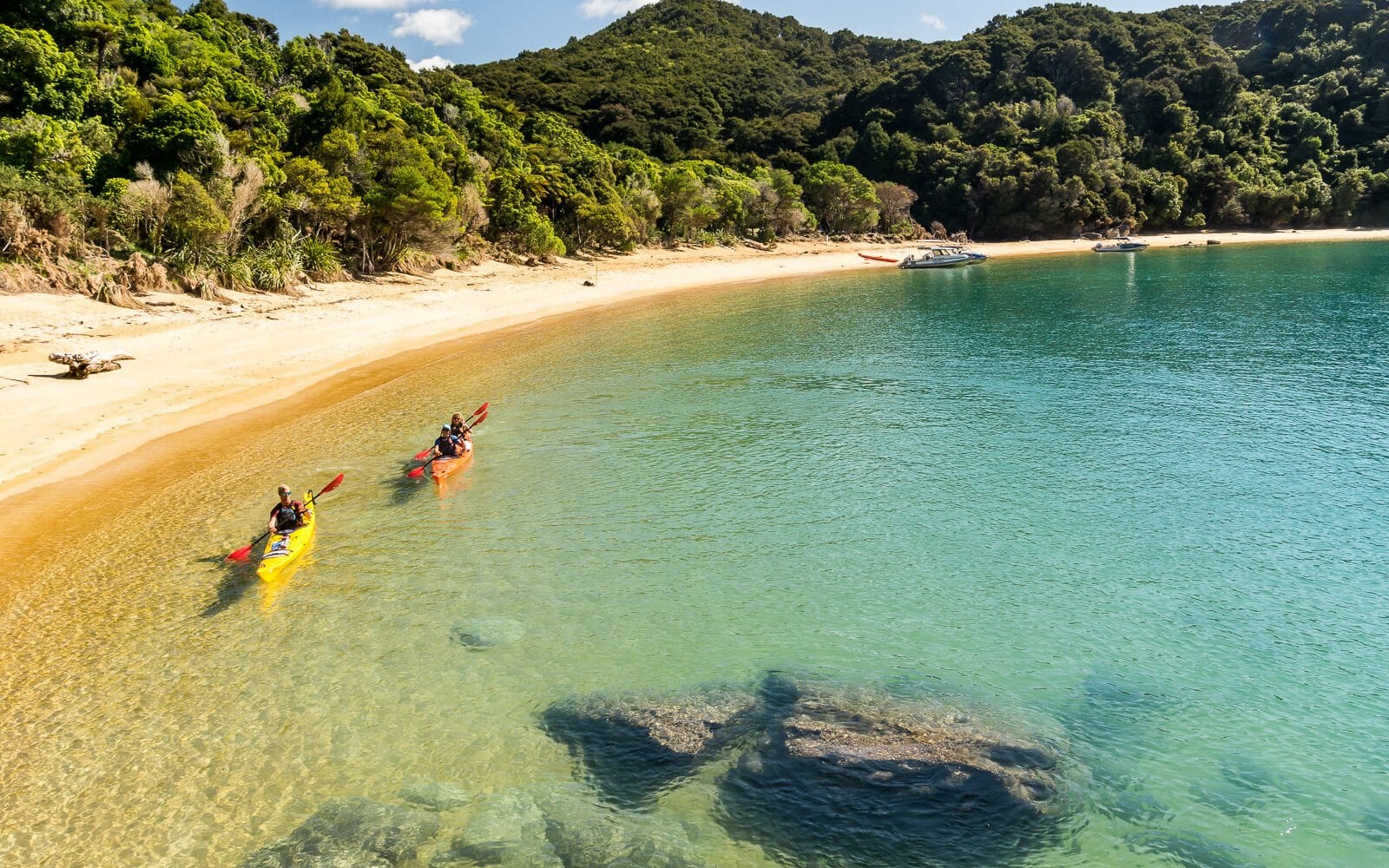 Kayak through golden beaches and sheltered coves.