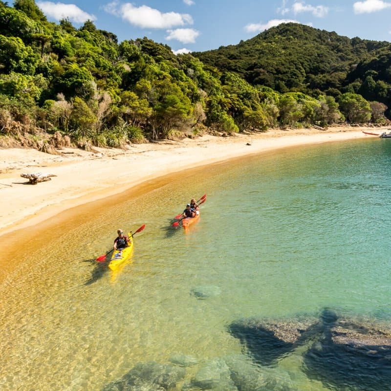 Kayak through golden beaches and sheltered coves.