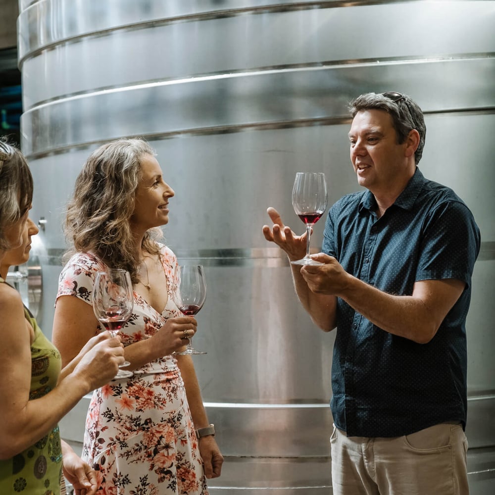 Gravity Cellars by Wine Nelson