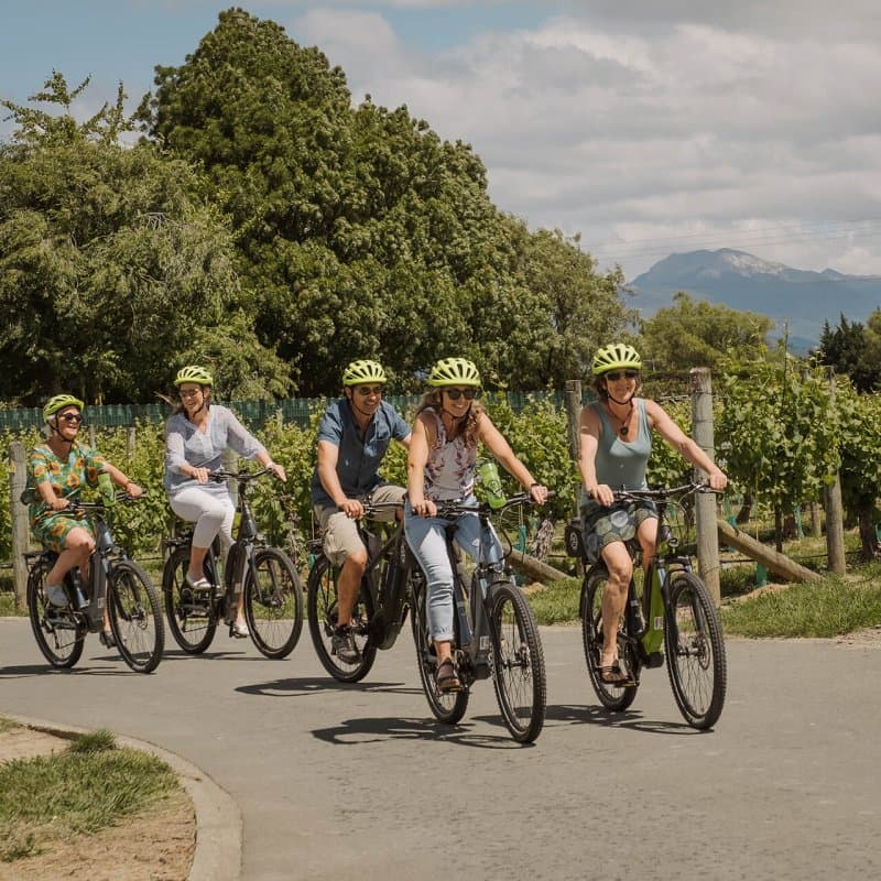 Tasmans Great Taste Trail bike wine tour by Wine Nelson