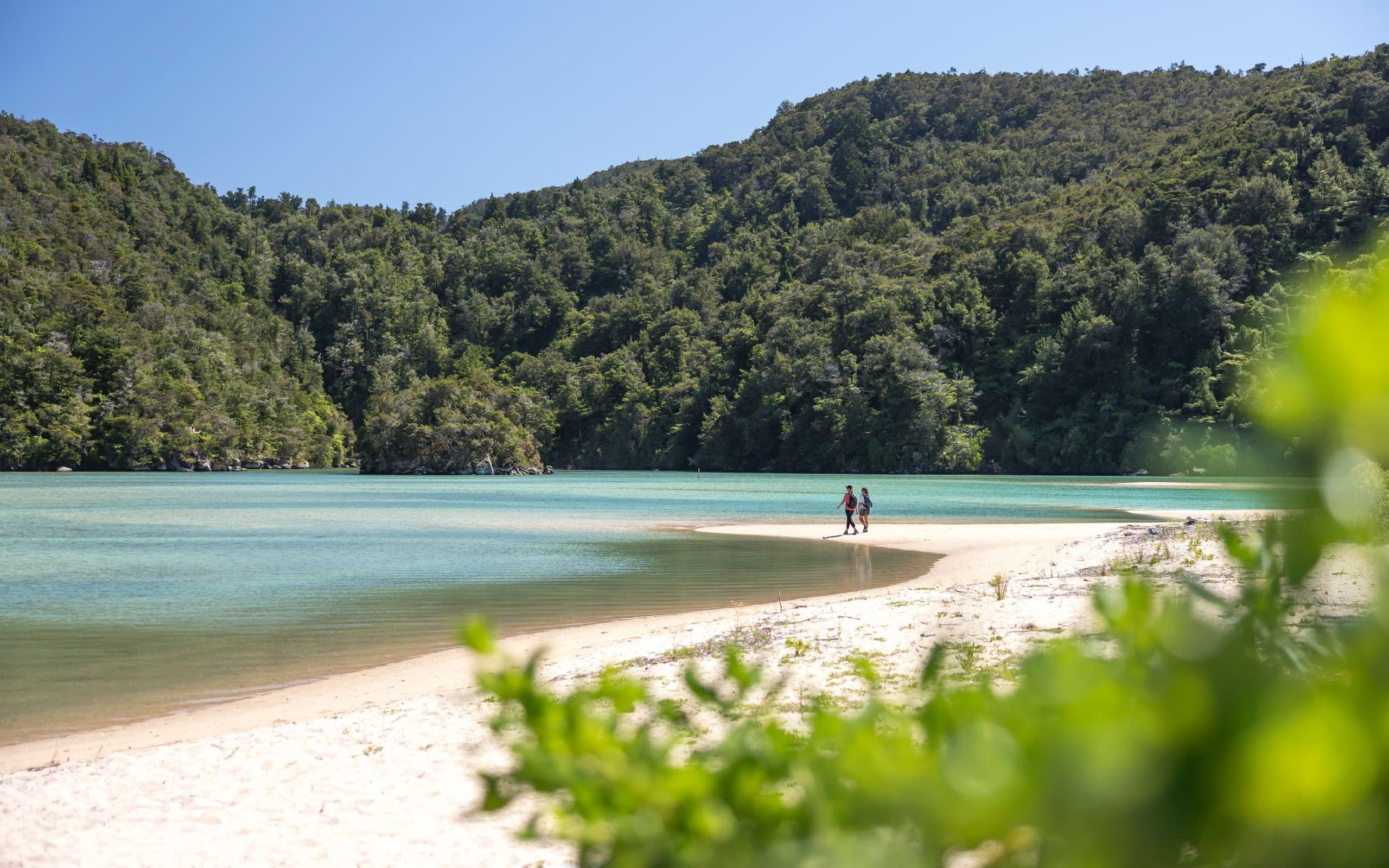 235217 abel tasman national park nelson web 2560