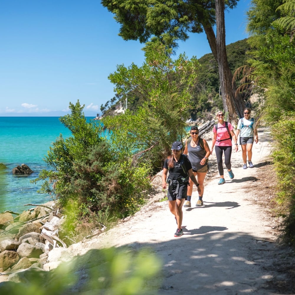 I took the scenic route on New Zealand’s quieter South Island, from lush nature to a flourishing second city