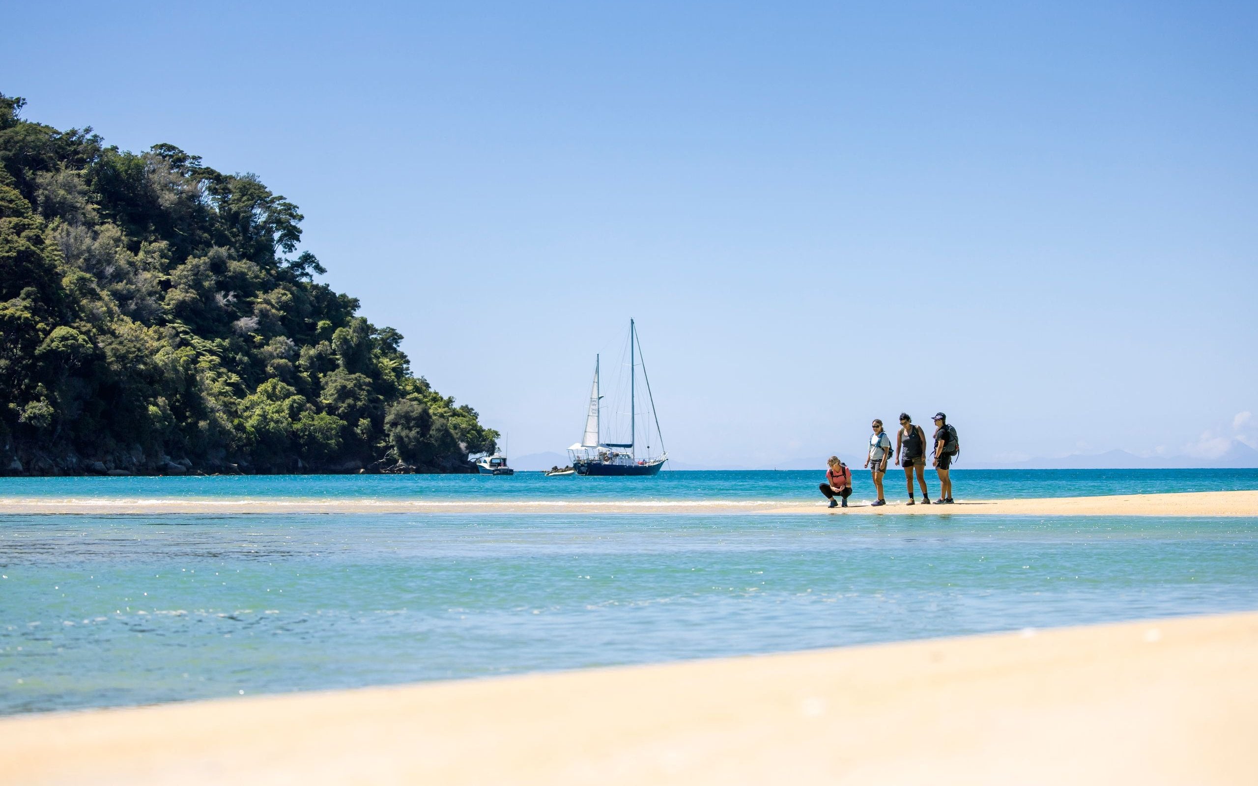 235304 abel tasman national park nelson web 2560