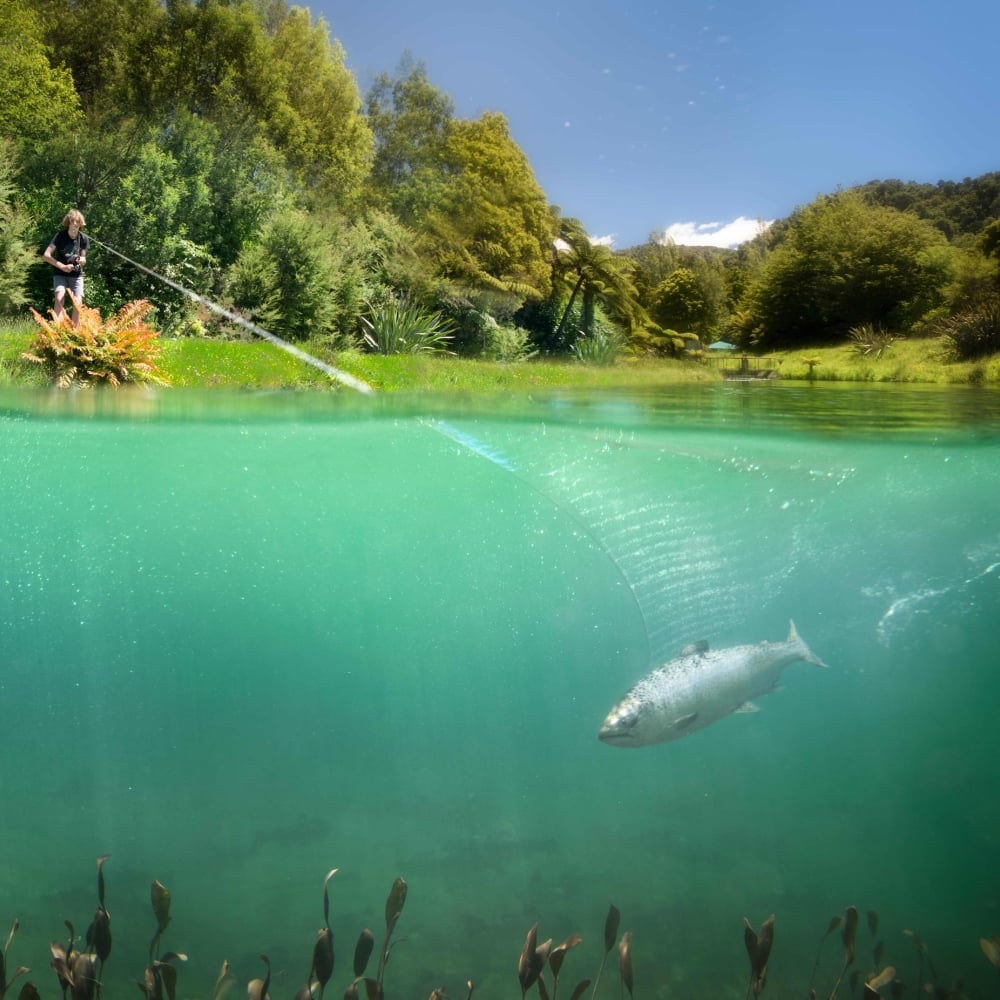 Catching salmon at Anatoki