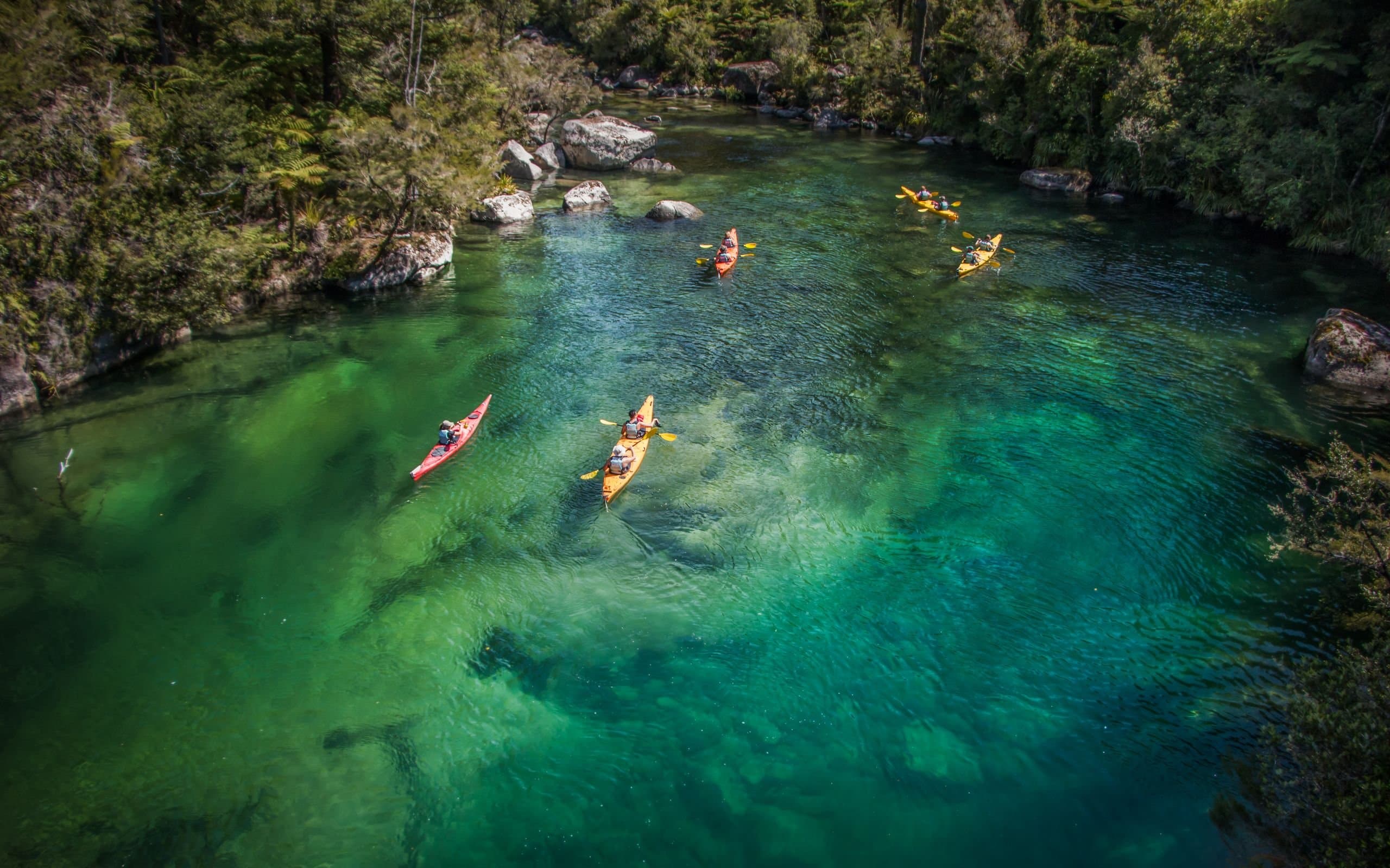 191371 kayakers in falls river in abel tasman national park web 2560px