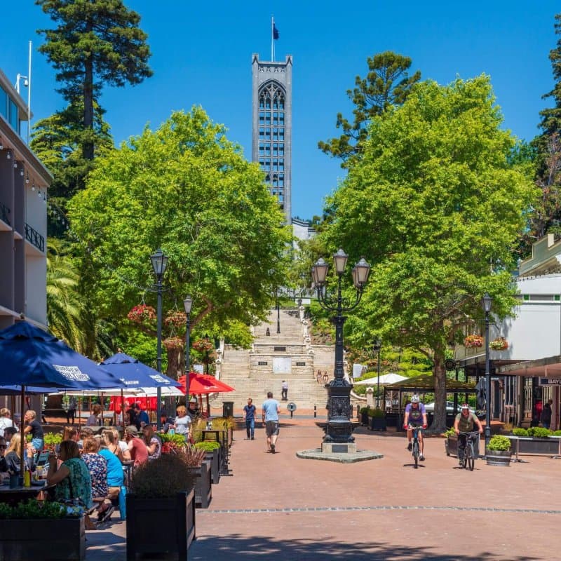 From craft beers to coastal bites: Savour the tastes of Nelson Tasman