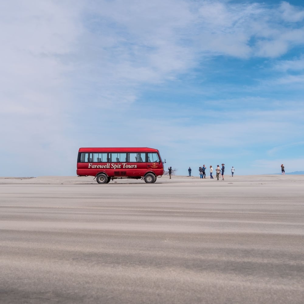 Spot migratory birds, seals, and more on a Farewell Spit wildlife adventure.