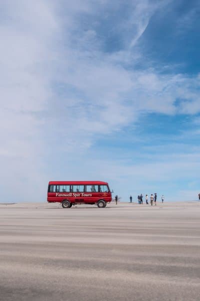 Spot migratory birds, seals, and more on a Farewell Spit wildlife adventure.