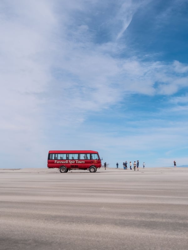 Spot migratory birds, seals, and more on a Farewell Spit wildlife adventure.
