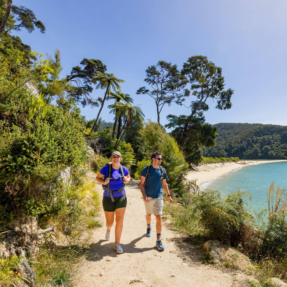 Abel Tasman National Park autumn Exlcusive Copyright Wilsons Abel Tasman