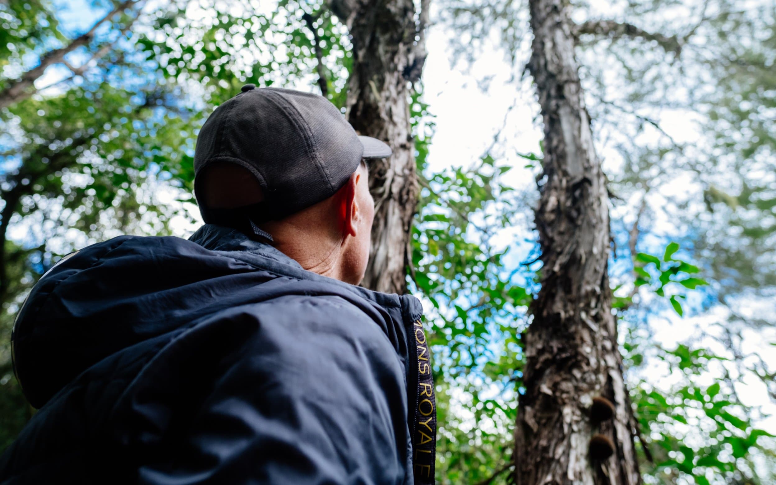 Nelson Tasman becomes the first region in New Zealand to offer visitors a Zero Carbon Travel Itinerary