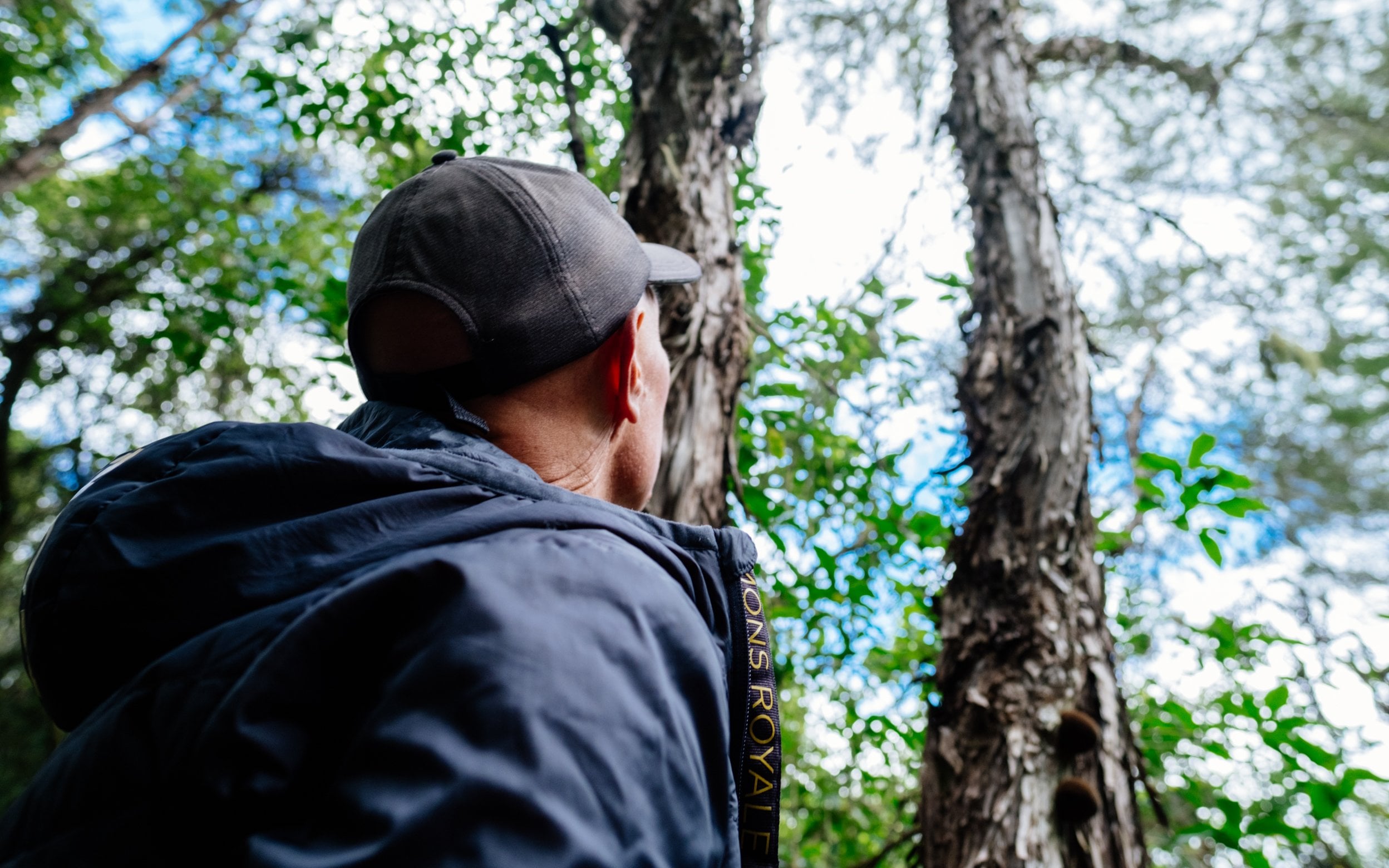 Nelson Tasman becomes the first region in New Zealand to offer visitors a Zero Carbon Travel Itinerary