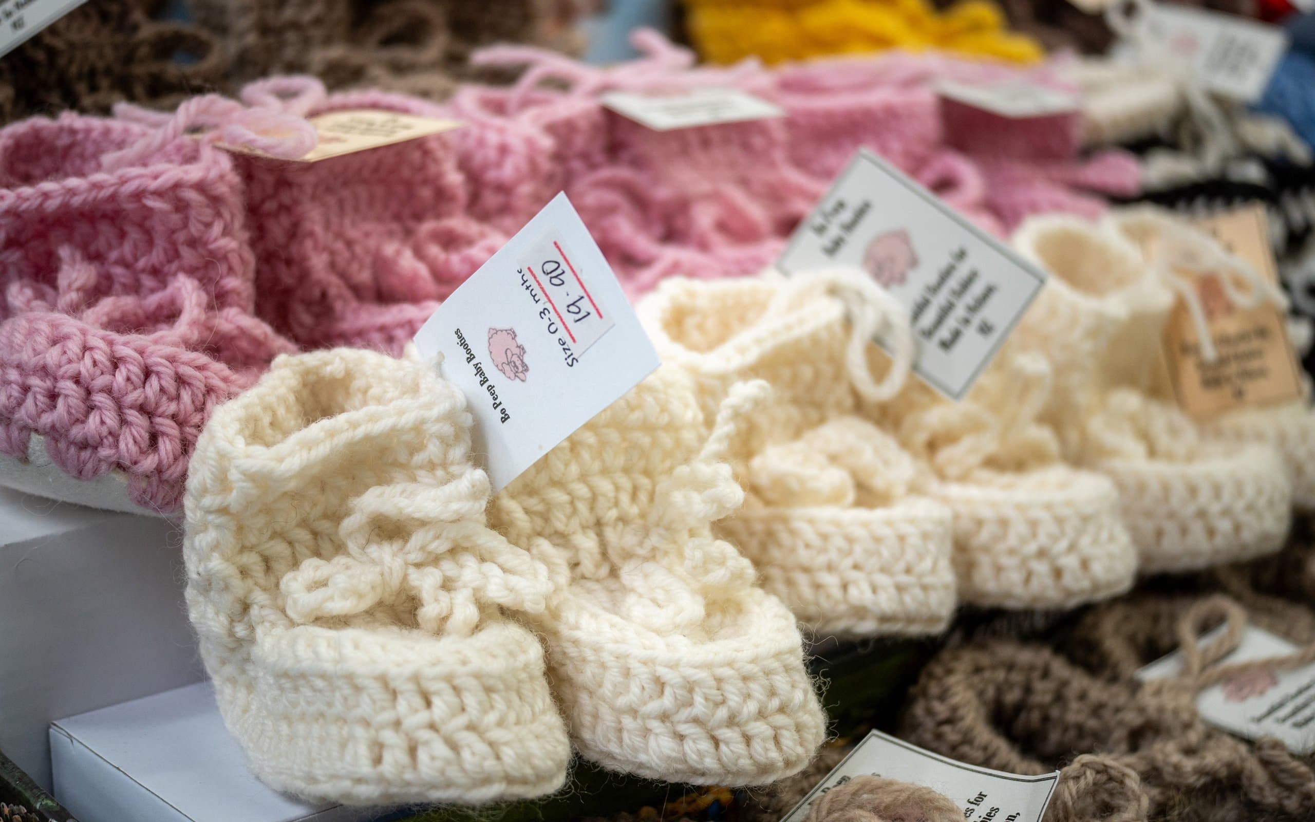 Nelson Sheepskin Shop Bo Beep booties Bridge Street art credit Nelson Tasman