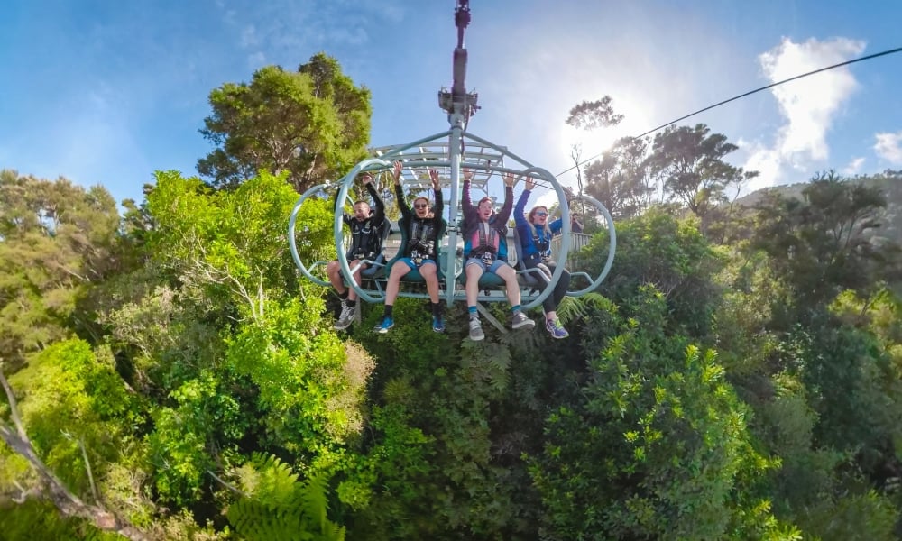 Strap in for an adrenaline rush on the Skywire at Cable Bay Adventure Park.