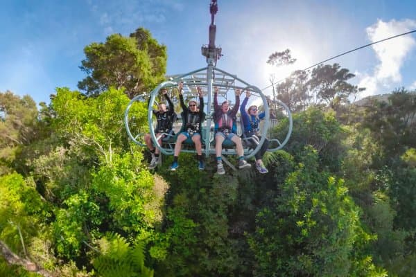 Strap in for an adrenaline rush on the Skywire at Cable Bay Adventure Park.