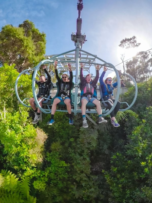 Strap in for an adrenaline rush on the Skywire at Cable Bay Adventure Park.