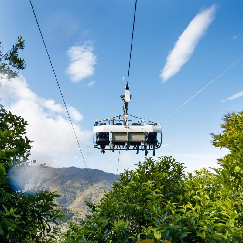 Cable Bay Adventure Park Skywire, credit George Guille 7