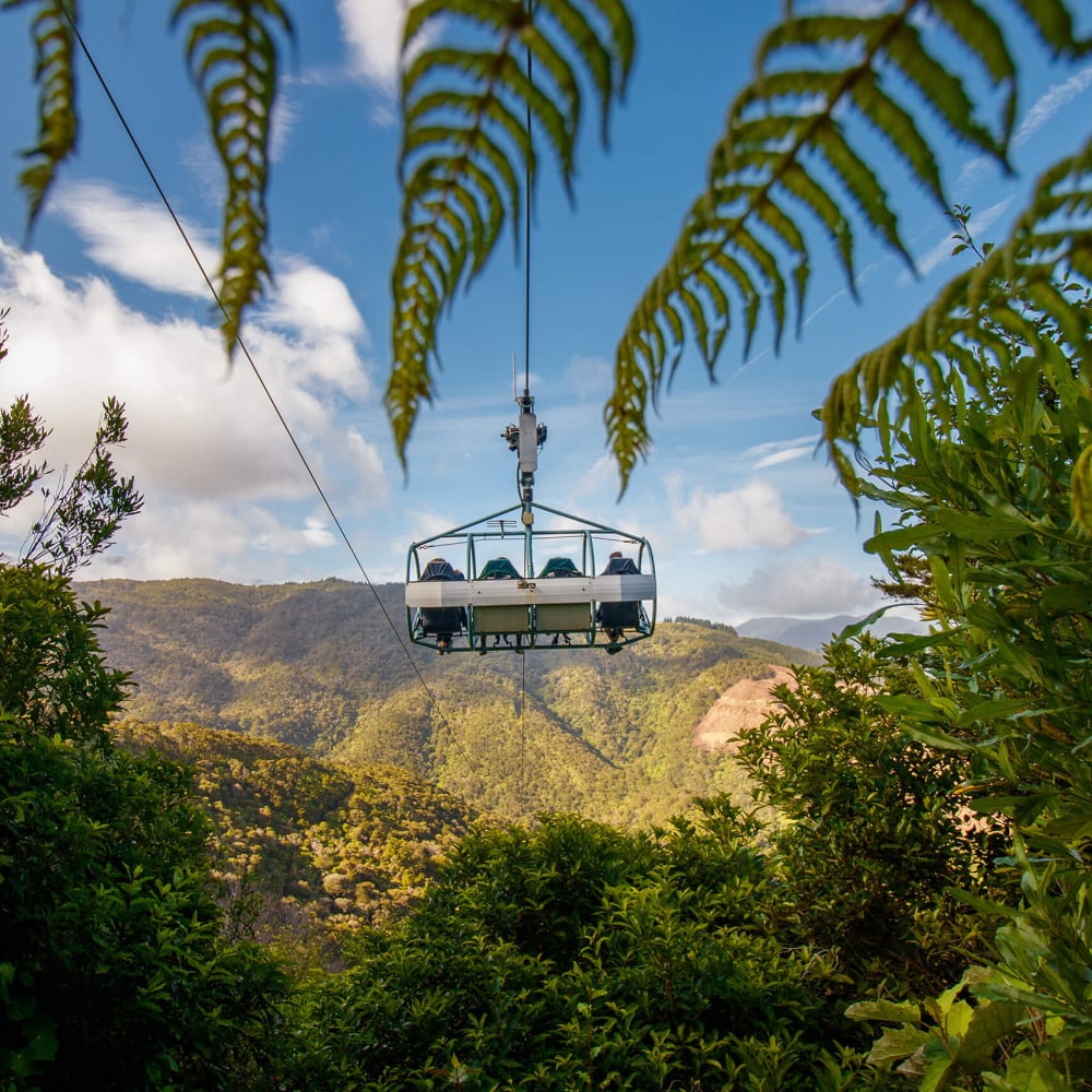 Cable Bay Adventure Park Skywire, credit George Guille 8
