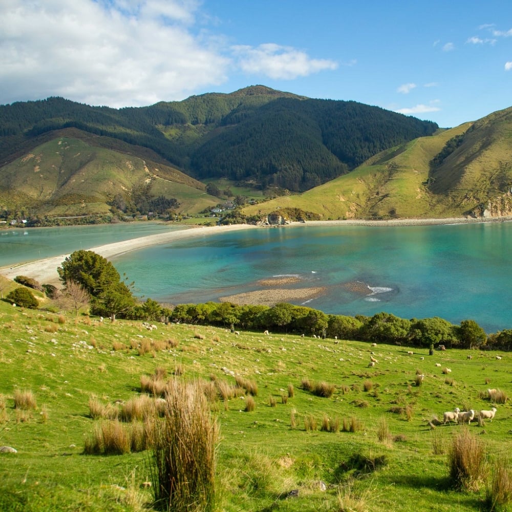 Be captivated on a scenic trek around Pepin Island, with sweeping views across Cable Bay and Tasman Bay.