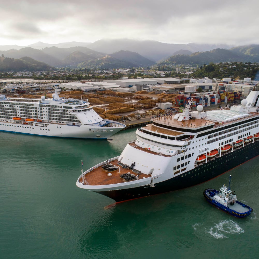 Cruise ships at Port Nelson