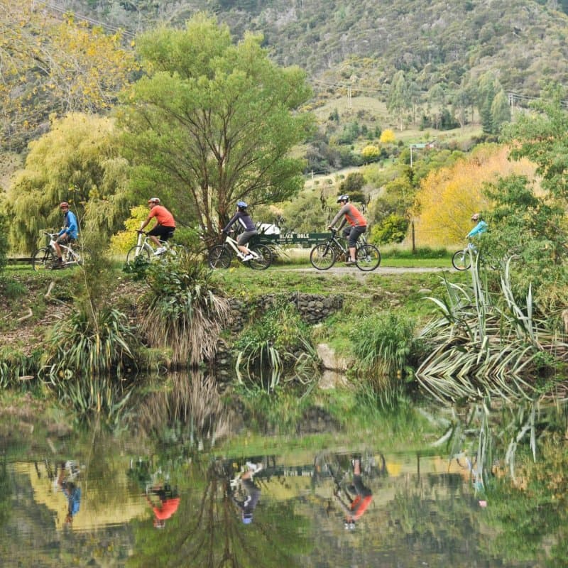 Ride along the Maitai River in Nelson.