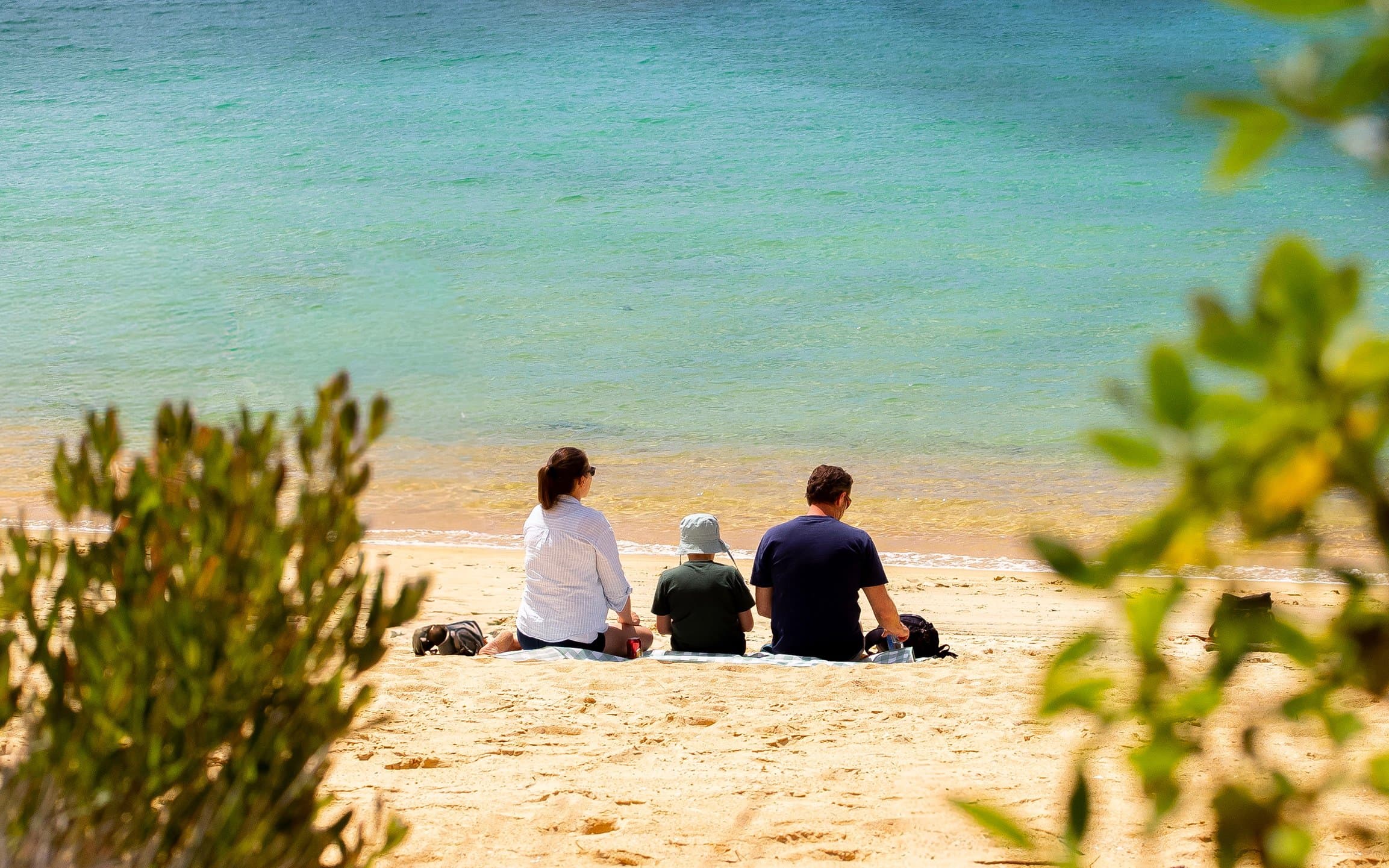 Feel the warmth of NT Abel Tasman family picnic