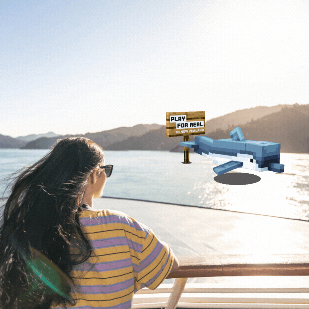 Interislander Minecraft NZ